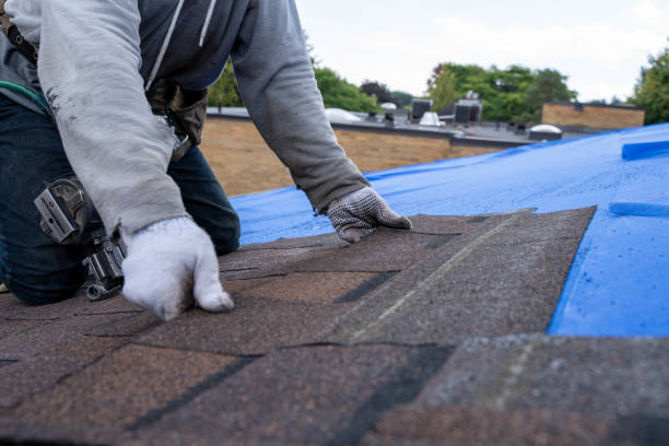 Best Commercial Roofing Services  in Anamosa, IA